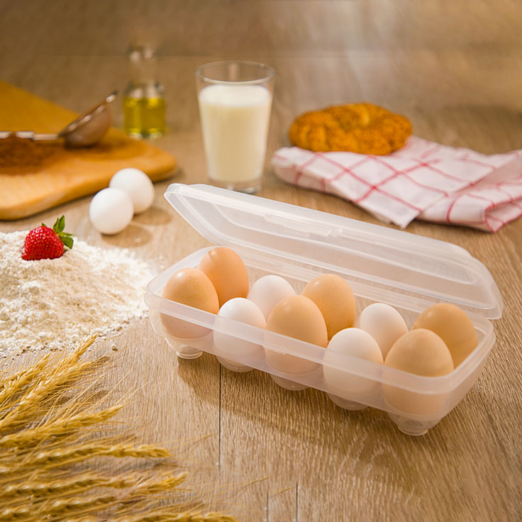 Secure EggNest with Lid (124) by Limon - All-In-One Store Pakistan