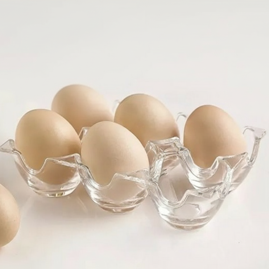 6-Grid Acrylic Eggs Storage (1832) by Limon - All-In-One Store Pakistan