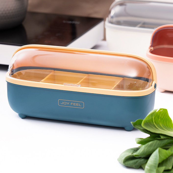 Minimalist 4-Compartment Spice Box with Spoons - All-In-One Store Pakistan