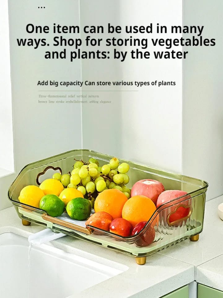 Transparent Dish Drainer Rack - All-In-One Store Pakistan