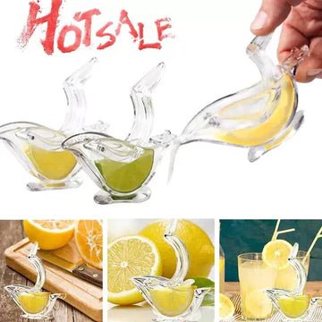 Lemon Squeezer - All-In-One Store Pakistan
