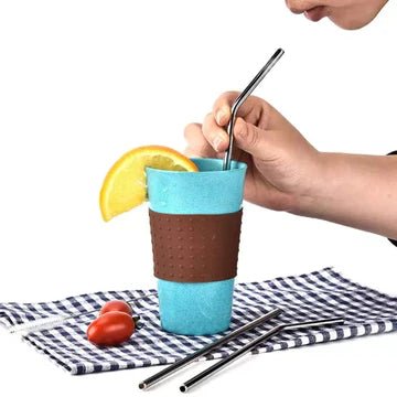 Reusable Steel straw ( set of 4 ) - All-In-One Store Pakistan